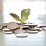 Money Plant https://www.flickr.com/photos/76657755@N04/6881485010/in/photolist-bu6pKh-bu6sBd-s5ZdWJ-snzAJp-s61ku3-skhAfL-smQwn4-rqLAHi-s688Fi-s684tk-snzzza-chEejy-pYSVGy-s685Wv-snxbdk-MuaD5-wTyove-8bxBU1-f71bmv-9C9vCS-8F5t1j-geqQex-bZwHv5-5WsjQv-fLeFcX-68vjKV-gR1id8-7VePHh-5qW8AF-nXYWqT-68zxij-6vB8DY-9Zkom5-kYdMx-dJR7Kf-f8BZut-mTMVH8-68zxeQ-8H1G8G-2zx8x-dS95YW-k7g5z-bSeYKa-4wnF6t-5sthtH-5XuHCW-oKPgiL-7eP99R-3ctegq-bNyueV